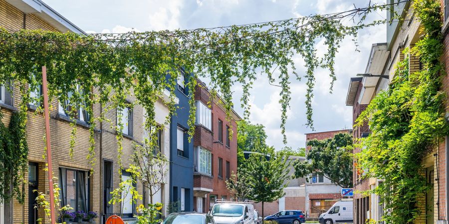 Groenslinger van huis tot huis